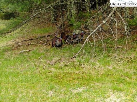 000 Old Hampton Rd, Boone, NC 28607 photo 3