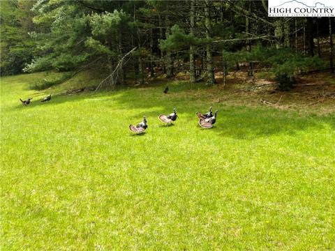 000 Old Hampton Rd, Boone, NC 28607 photo 2