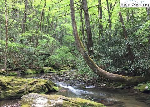 0000 Maple Gap Rd, Boone, NC 28607