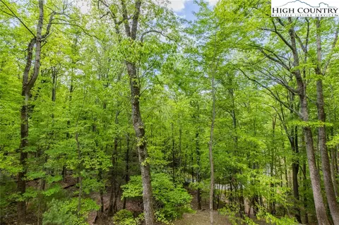 495 E Horse Shoe Ridge Rd, Deep Gap, NC 28618 photo 33