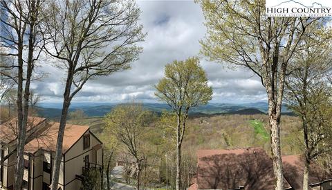 220 Northridge Rd #2, Beech Mountain, NC 28604 photo 37