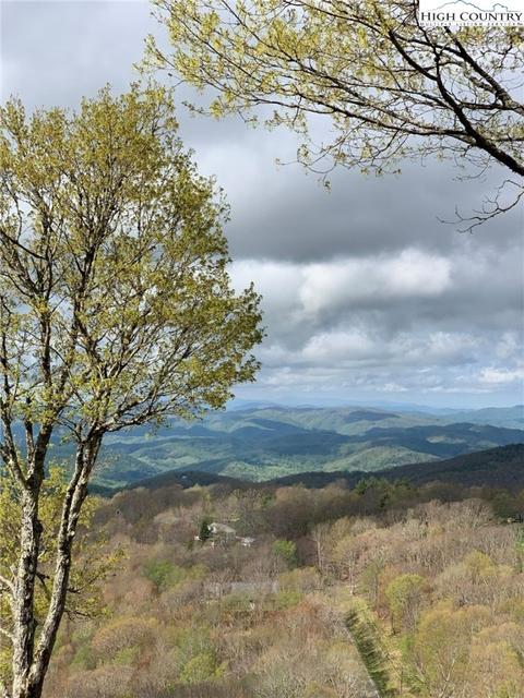 220 Northridge Rd #2, Beech Mountain, NC 28604 photo 38
