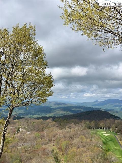 220 Northridge Rd #2, Beech Mountain, NC 28604