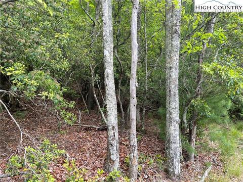 65 Hawk Ridge Road, Deep Gap, NC 28618 photo 8
