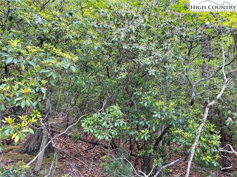 65 Hawk Ridge Road, Deep Gap, NC 28618 photo 7