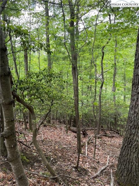 65 Hawk Ridge Road, Deep Gap, NC 28618 photo 3