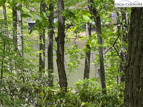 65 Hawk Ridge Road, Deep Gap, NC 28618 photo 2