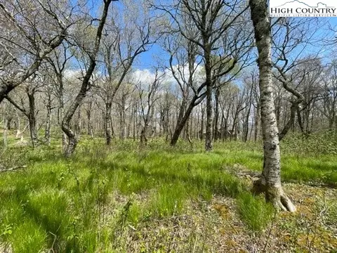 195 Green Cliffs Road, Sugar Mountain, NC 28604