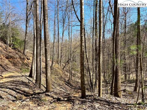 4 Bauers Lane, Deep Gap, NC 28618 photo 3