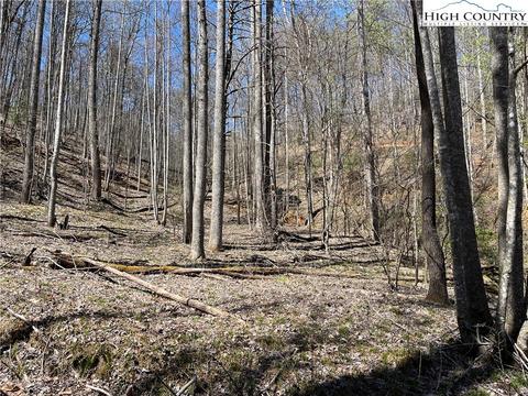 4 Bauers Lane, Deep Gap, NC 28618 photo 6