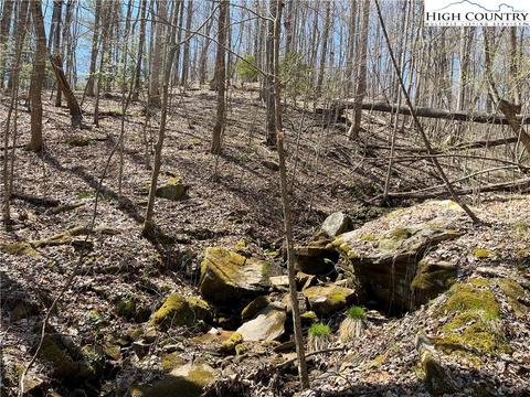 4 Bauers Lane, Deep Gap, NC 28618 photo 7