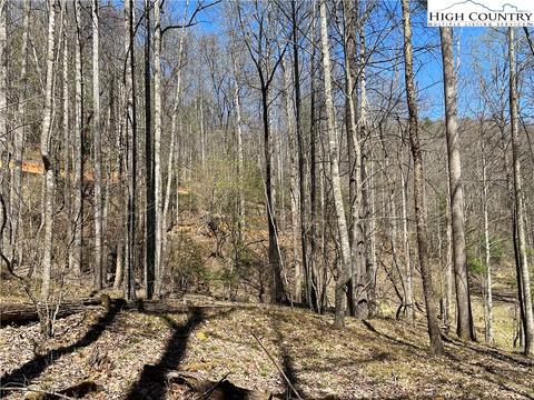 4 Bauers Lane, Deep Gap, NC 28618