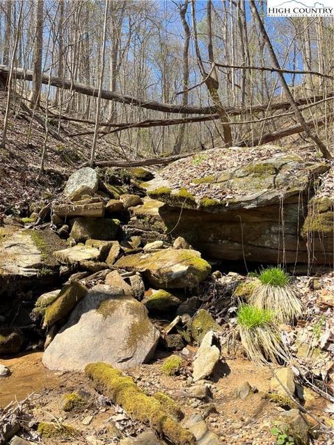 4 Bauers Lane, Deep Gap, NC 28618 photo 8