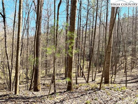 4 Bauers Lane, Deep Gap, NC 28618 photo 4