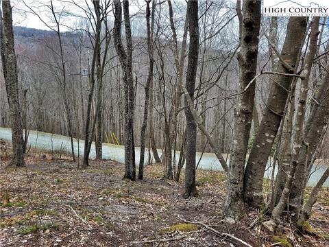 114 Hoot Owl Ln, Beech Mountain, NC 28604