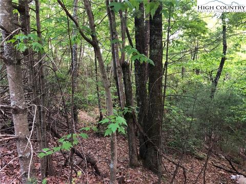 Lot 2 Bobcat Mountain Road, Purlear, NC 28665 photo 4
