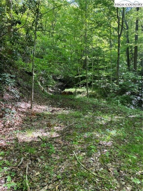 TBD Jake's Mountain Road, Deep Gap, NC 28618 photo 24