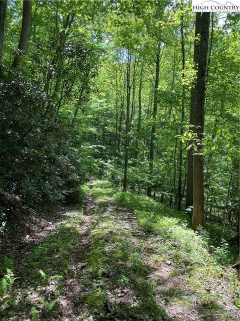 TBD Jake's Mountain Road, Deep Gap, NC 28618 photo 11