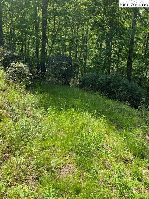 TBD Jake's Mountain Road, Deep Gap, NC 28618 photo 12