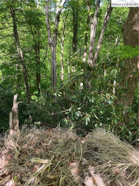 TBD Jake's Mountain Road, Deep Gap, NC 28618 photo 15