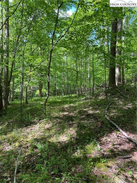 TBD Jake's Mountain Road, Deep Gap, NC 28618 photo 29