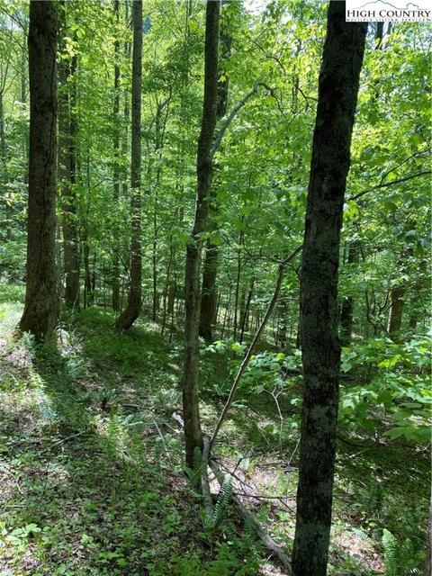 TBD Jake's Mountain Road, Deep Gap, NC 28618 photo 22