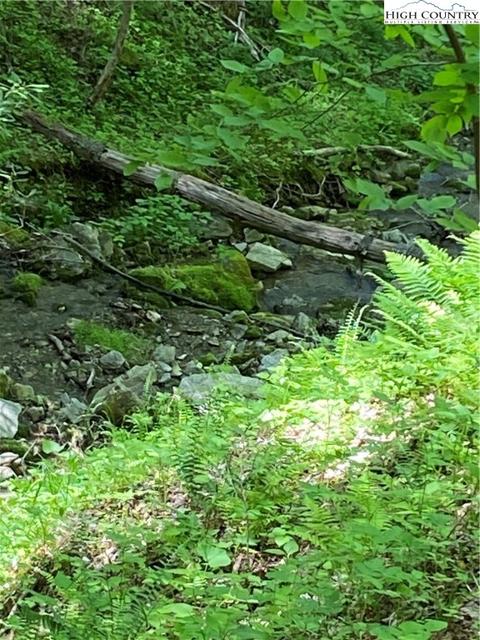 TBD Jake's Mountain Road, Deep Gap, NC 28618 photo 6