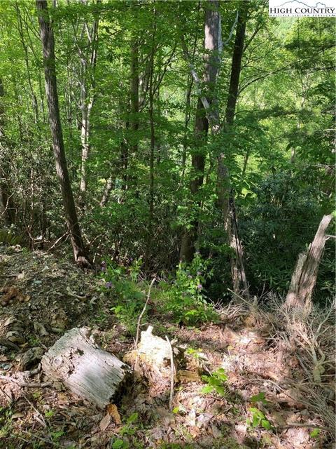 TBD Jake's Mountain Road, Deep Gap, NC 28618 photo 14