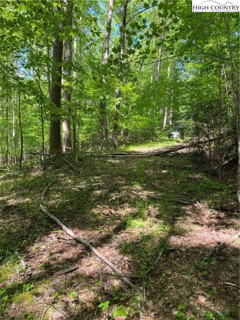 TBD Jake's Mountain Road, Deep Gap, NC 28618 photo 30