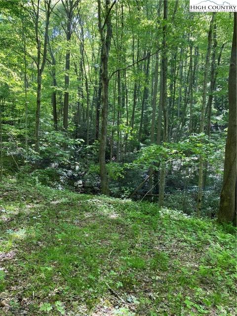 TBD Jake's Mountain Road, Deep Gap, NC 28618 photo 25