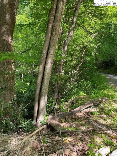 TBD Jake's Mountain Road, Deep Gap, NC 28618 photo 19