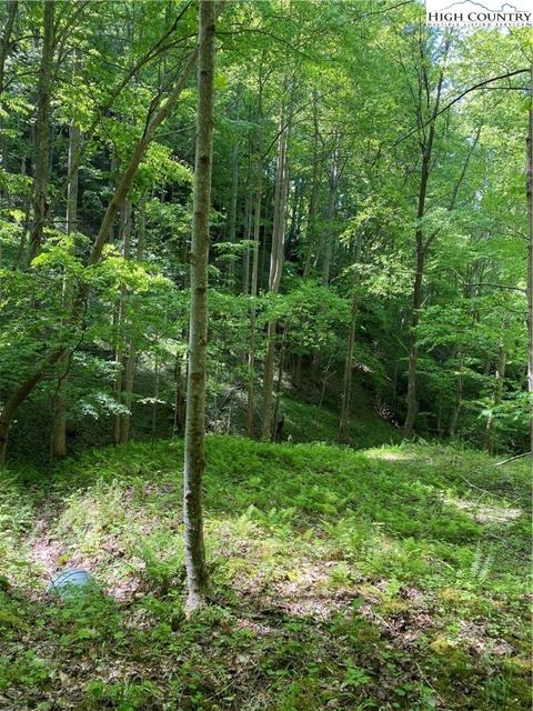 TBD Jake's Mountain Road, Deep Gap, NC 28618 photo 27