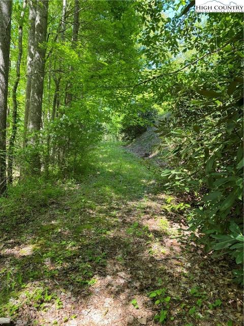 TBD Jake's Mountain Road, Deep Gap, NC 28618 photo 13
