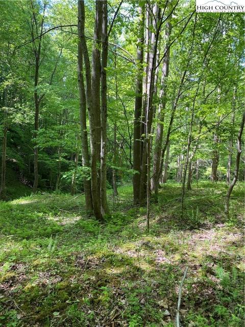 TBD Jake's Mountain Road, Deep Gap, NC 28618 photo 28