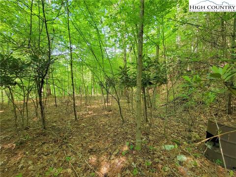 8 Smithey Road # 7, Crumpler, NC 28617