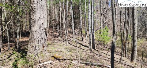 tbd Earnest Ridge Rd, Vilas, NC 28692
