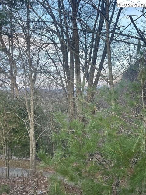 TBD Cross Mountian Road, Glendale Springs, NC 28629