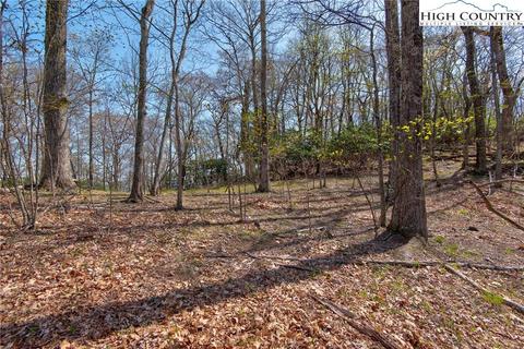 lot15 Nettles Knob Rd, Seven Devils, NC 28604 photo 8