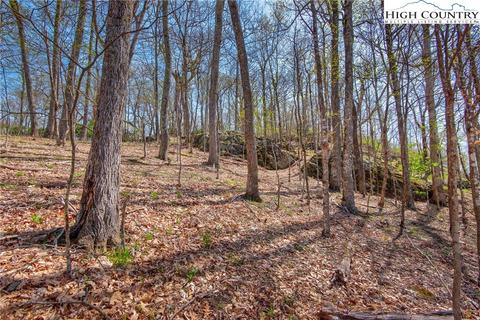 lot15 Nettles Knob Rd, Seven Devils, NC 28604 photo 9