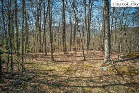 lot15 Nettles Knob Rd, Seven Devils, NC 28604 photo 6