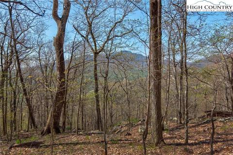 lot15 Nettles Knob Rd, Seven Devils, NC 28604 photo 11