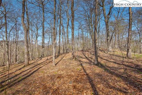 lot15 Nettles Knob Rd, Seven Devils, NC 28604 photo 10