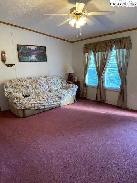 891 Rainbow Trl, Boone, NC 28607 photo 5