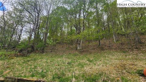 891 Rainbow Trl, Boone, NC 28607 photo 4