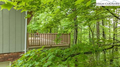 215 H Stanley Miller Rd, Deep Gap, NC 28618 photo 31