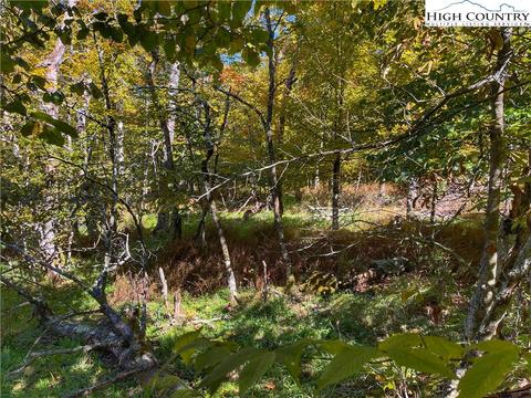 106 Skiway Ln, Beech Mountain, NC 28604 photo 7