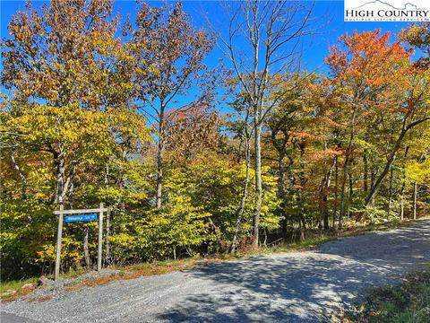 106 Skiway Ln, Beech Mountain, NC 28604 photo 2