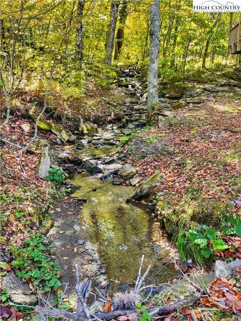 106 Skiway Ln, Beech Mountain, NC 28604 photo 4