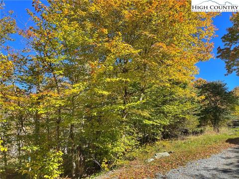 106 Skiway Ln, Beech Mountain, NC 28604 photo 6