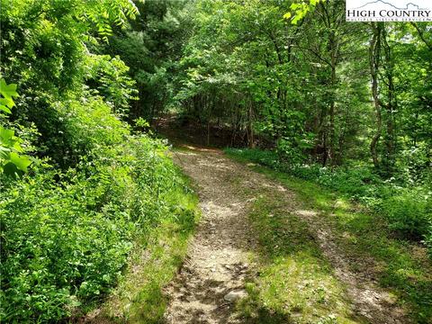 174 New Haven Rd, Sparta, NC 28675